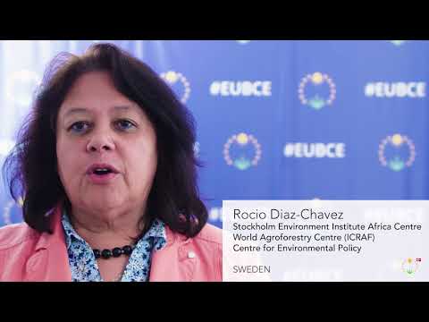 EUBCE 2018,  Rocio Diaz-Chavez,  Stockholm Environment Institute Africa Centre