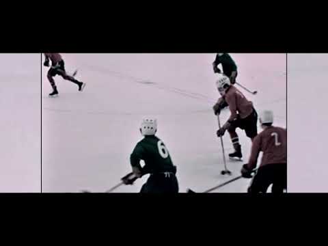 EHC Visp Novizen 1970 (Aufnahmen Hans Schmid, Visp)