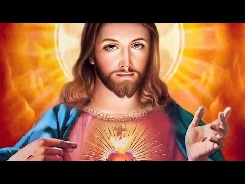 26 de novembro de 2023 | 8h