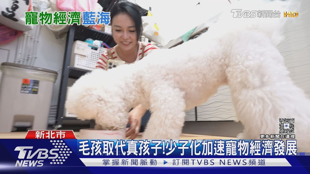 台灣寵物數破279萬超越兒童!寵物保母業夯 商機「六百億」正崛起