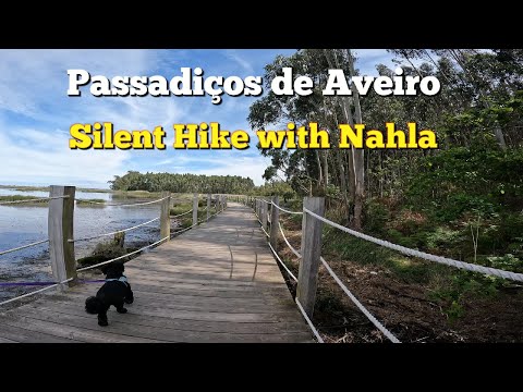 Passadiços de Aveiro silent hike with Nahla!