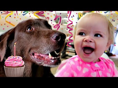 👶🏻1st BIRTHDAY DOG SURPRISE🎂