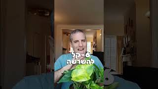 המלך של צמחי הבית - 10 סיבות למה כדאי לגדל את צמח הפוטוס אצלכם בדירה