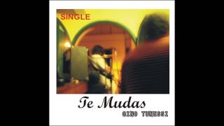 Gino Tunessi - Te Mudas (Early mix)