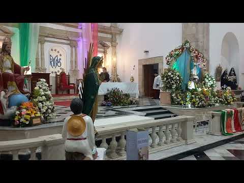 Peregrinación parroquia San josé de la montaña 2025 al santuario guadalupano San Cristóbal MID