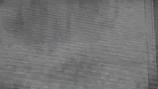 Dorine Muraille - Triviana Nuire
