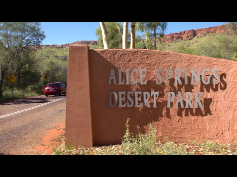 Alice Springs Desert Park