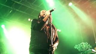 Morgan Heritage Live from Oland Roots (So Amazing World Tour)