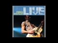 Chris Whitley - Serve you (live)