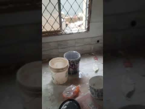 CLEAN MINI FLAT @Okeafa canoe