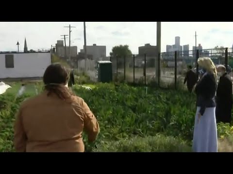 Local 4 News at 6 -- Oct. 20, 2020