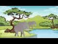 African Animals Animals For Kids