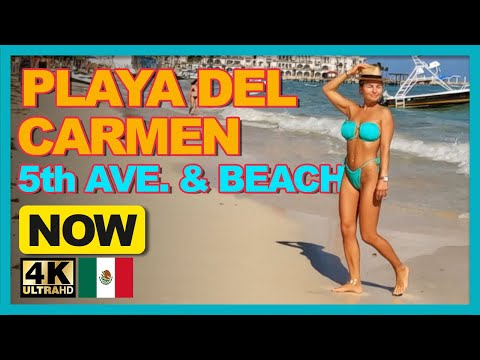 WALKING PLAYA DEL CARMEN 5TH AVE. TO BEACH 🇲🇽 2022 | [4k]  Binaural Audio🎧