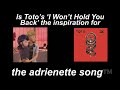 Did ‘I Won’t Hold You Back’ inspire The Adrienette Song™️?