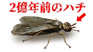 【すごい】山口県美祢市から産出した「2億年前のハチ」がヤバすぎた