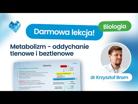 Metabolizm – oddychanie tlenowe i beztlenowe  – matura biologia 2026+  – Kurs maturalny Biomedica