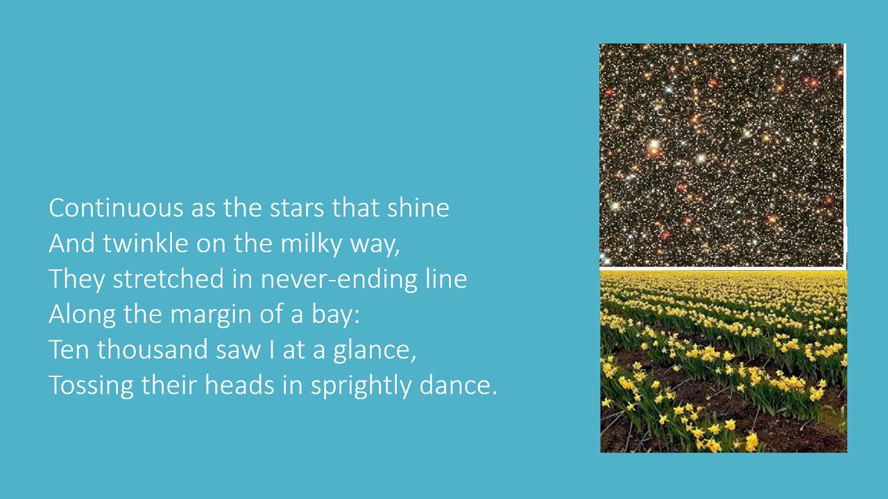 DAFFODILS - William Wordsworth