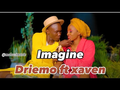 Driemo_imagine_ft Xaven(Mzaliwa album)Top songs