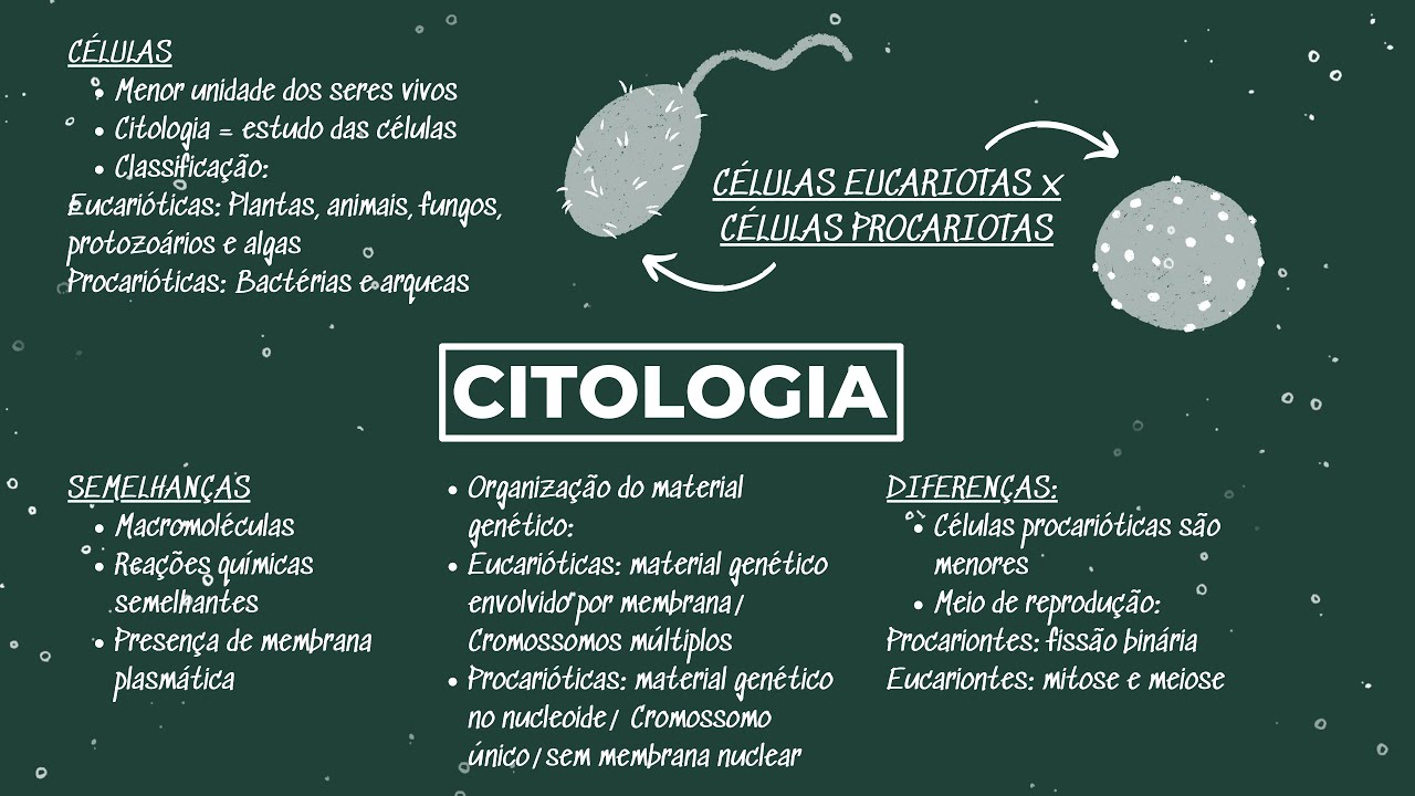 CITOLOGIA PROCARIÓTICA - PARTE 1