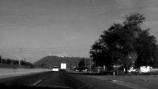 Efecto Mariposa - Entre Flores