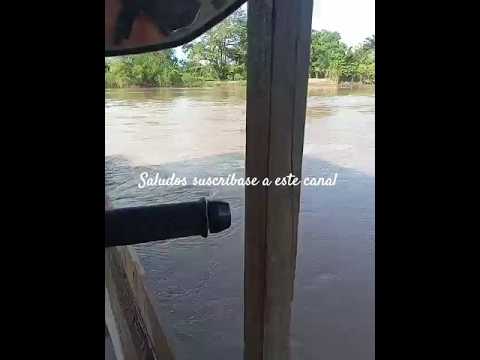 así se cruza el río Ulúa en urraco pueblo él progreso Yoro