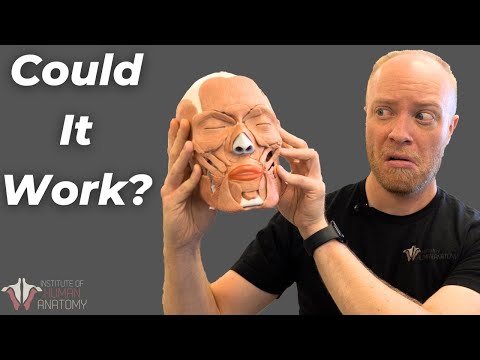 How Long Does a Head Transplant Take?