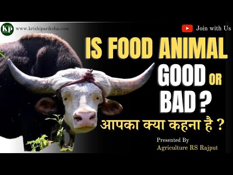 Is food animal good or bad ? | FSSAI | Mithun