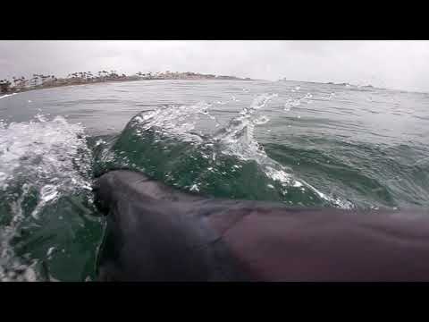 Day 339 - (Huntington Pier) GoPro POV Beginner Video Surf Journal