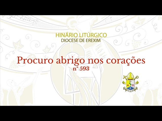 Preview do vídeo