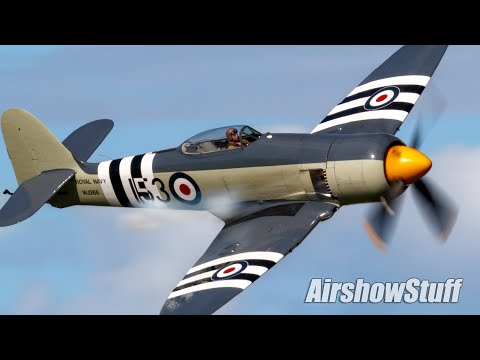 Hawker Sea Fury Aerobatics and Low Flybys - EAA AirVenture Oshkosh 2022