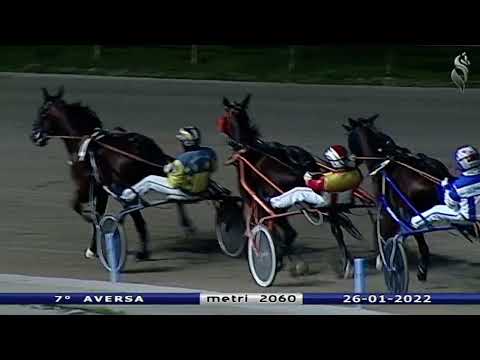Aversa trotto 26 Gennaio 2022 - 7° Corsa