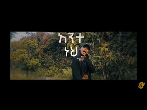 TSEDI- SUSE (Official Lyric Video)