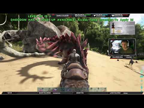 Primitive Plus Time! -Ep2-  ARK Primitive Plus Gameplay.