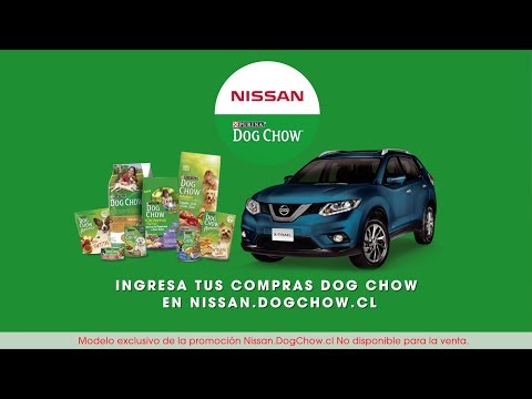 Nissan X-Trail 4Dogs - Purina Dog Chow