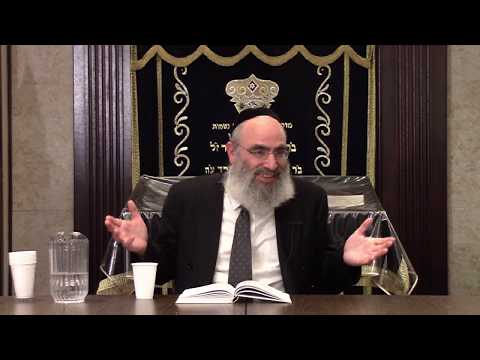 Tanya, The Holy Epistle: Epistle 25 - Part 4, Rabbi Krasnianski.