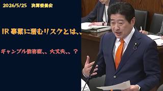 【参政党】大津議員　　IR事業に潜む問題を問う