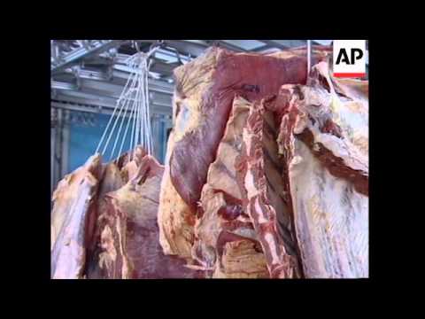 BELGIUM: BEEF COMPANY DENY INVOLVEMENT WITH EXPORT OF BRITISH BEEF
