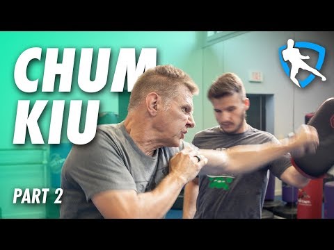 Wing Chun Applications - Chum Kiu Part 2