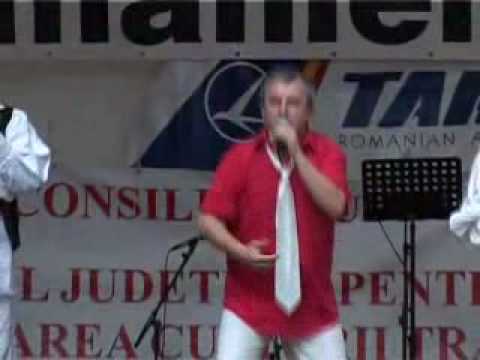 Recital Sergiu Vitalian Vaida si Nanasii - Nurenberg 2008 - Producator Libris Cultural Brasov