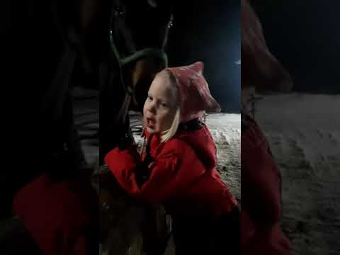 Sointu tutustuu meidän tallin uusiin asukkaisiin