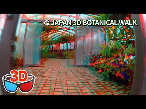 [3D Anaglyph] Explore a Japanese Botanical Garden – 60fps for Red-Cyan Glasses