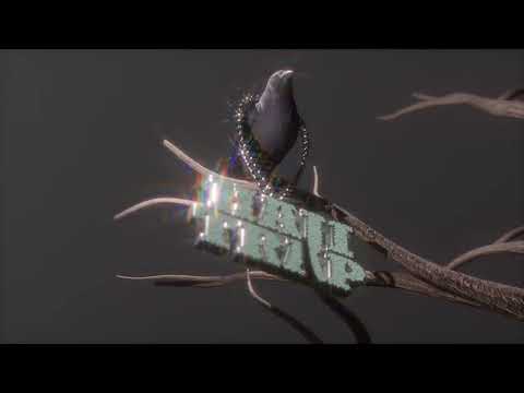 MÆYØ - BRADER (Feat. AP3K) [Visualiser]