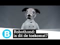 Robothond Aibo: je gaat een beetje van 'm houden!