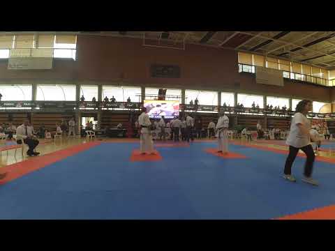 VI IFK WORLD CHAMPIONSHIP KYOKUSHIN KARATE    Juan Carlos Auge (Spain) vs Stéphane Grégoire (Canada)