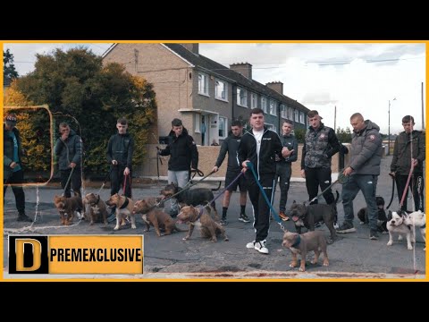 Clayton Cooper - More (Official Music Video) | Dearfxch TV