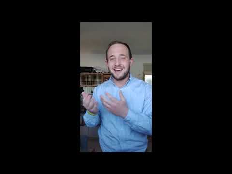עדות וידאו של מתי לאופר