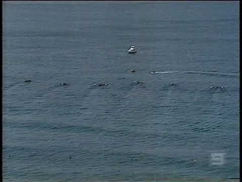 2006 Open Men's Australian Surfboat Final