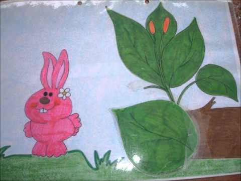 KOLIN ETA KOLAN KUKUKA JOLASTEN.wmv