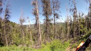 preview picture of video 'Idaho Trail ride Targhee Forest'