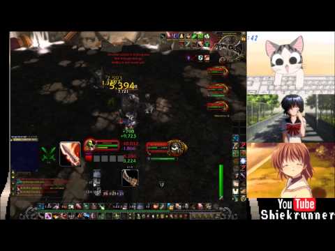 Rogue solo Siege of Orgrimmar Protectors